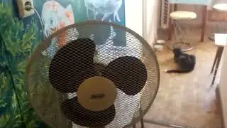 Как спасаться от жары.