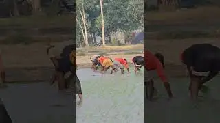 #sidhumoosewala