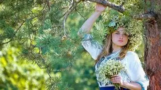 Дендротерапия в системе общей терапии.
