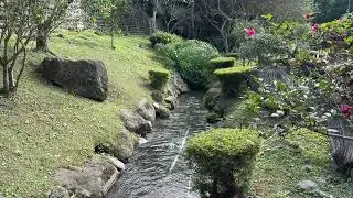 🪨🌊🌿