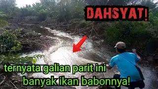 Explore parit parit di sekitar kebun sawit tidak terduga ternyata banyak ikan babonnya/net fishing