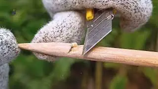 How to make Bamboo Slingshots #crafts