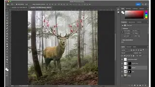 Adobe photoshop video tutorial- Combine images to make a composite with layer masks