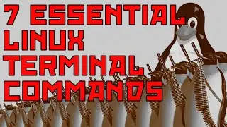 Seven Essential Linux Commands For Those New to the Terminal
