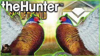 **Guide** Hunting Double Diamonds On The Pheasant Great One Grind! Call of the wild Early Access