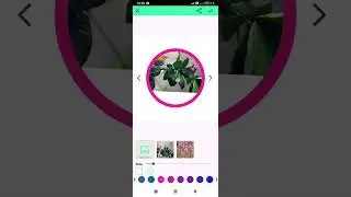 Add border to photo