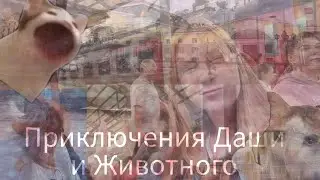 Приключения Даши и Животного... {Влог из Дивногорска}