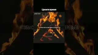 Мотивация для всех кто жалуется на свою жизнь, путь к успеху всегда не лёгкий!
