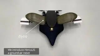 Robotic Elytra: Insect-inspired Protective Wings for Resilient and Multi-modal Drones