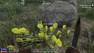 Phoenix's First Blood Moon Horde | Co-op with Phoenix | 7 Days To Die A16 NWL | Ep 6