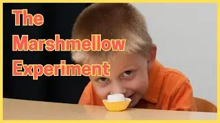 The Marshmellow Experiment: A Study On Delayed Gratification