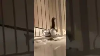 застрял
