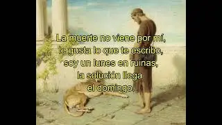 Baja Fidelidad - Daniel Colunga @ Calavera Beats (Letra)
