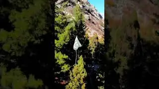 May our beloved flag shine forever 🇵🇰