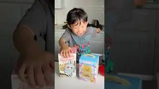 Opening Every Blind Box in the World (Elf Bunny Baby Sanrio Characters)