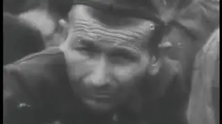 Хроники концлагерей и освобожденных территорий