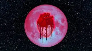 Chris Brown - Pull Up (Audio)