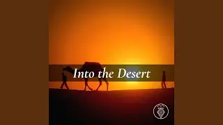 Into the Desert