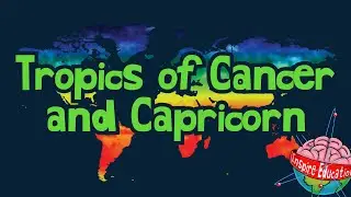 Rainforest Tropic Zones