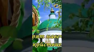 23 июня 2024 г.