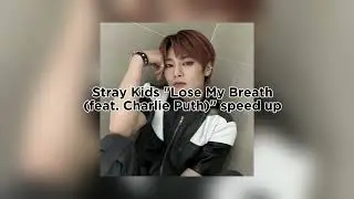 Stray Kids 