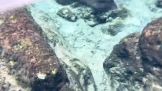@trinamason films the beautiful water of Fort Mccoy Salt Springs Florida on August 8 2024 2:52pm
