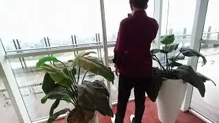pemandangan lantai 24 perpusnas bisa ngelihat Monas donk