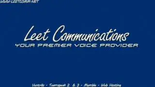 PugGaming and Leet comm free voice server and web hosting giveaway!