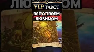💘 ВСЁ О ТВОЁМ ЛЮБИМОМ МУЖЧИНЕ  💯 таро расклад гадание #психология #tarot #эзотерика #отношения