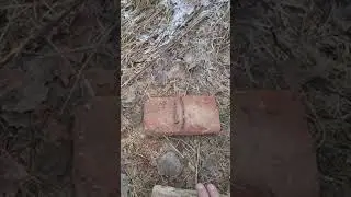Tejon! видит копейку СССР через три кирпича.🔥👍