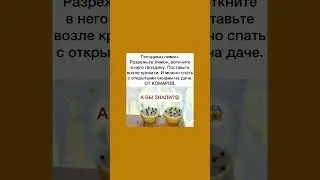 Гвоздика с лимоном против комаров 