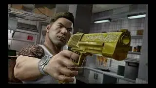 Am I Exposed? The Dangerous Truth in Sleeping Dogs