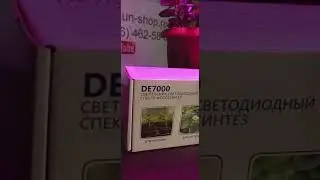 фитосветильник на прещепке