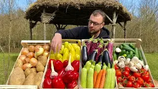 Postao sam VEGAN!!! Oprostite, gotovo je!