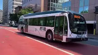 RIPTA 1813 on the R-Line