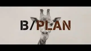 B-Plan Distribution (2018)