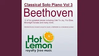 Beethoven - Ode To Joy By Hot Lemon Royalty Free Music