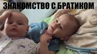 Первое знакомство со старшим братиком  Acquaintance of brothers
