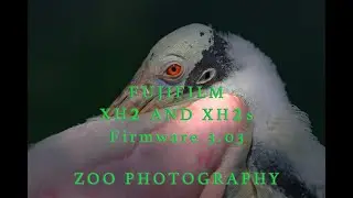 Fujifilm XH2,XH2s Firmware 3.03
