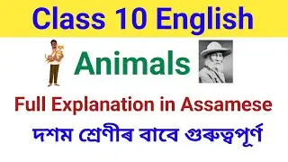 Class 10 English Poem 🐕