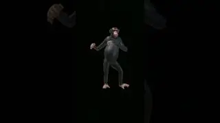 Monkey baby  bim bim Dancing #monkeys #techtricks #computertricks #gameplay #download