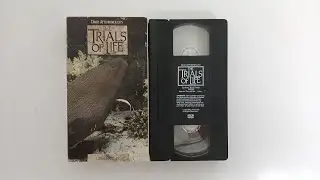 Opening and Closing To The Trials Of Life Living Together 1991 VHS 60fps