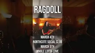 Ragdoll - MELBOURNE Shows for March 2023