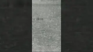 🌧️Nature Sonority🌧️ 