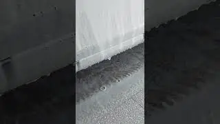 как работает авто химия 👍 #автомойка #работаем