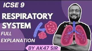 Respiratory system ch-3 physical education  | icse class 9 ch-3 | session 2024 -25 restart
