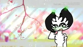 Game Of my heart Meme (GIFT FOR MY SENPAI FRIEND BEYAZ CAT!!!!! ) Ibis X animation TEST READ DESC!)