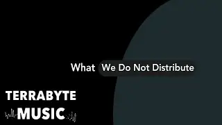 What Doesn't Terrabyte Music Distribute? | Terrabyte Music