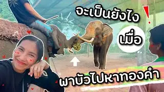 บัวบานไปหาพลายทองคำ งานนี้มีเอ็นดูลูก🥰