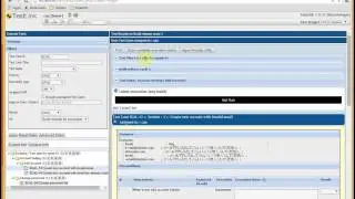 TestLink #10 Assign and execute test case